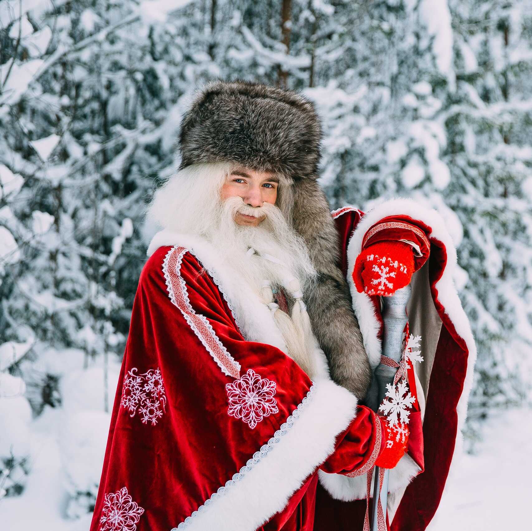 Хаски Петрозаводск Чална